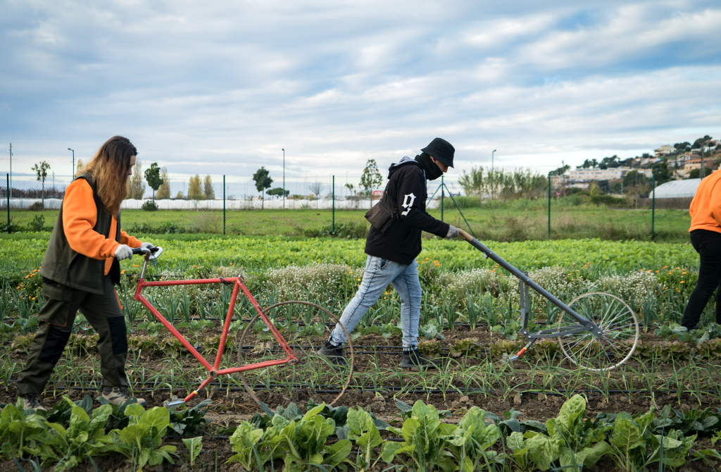 Alumnes del CFGM de Producció Agroecològica