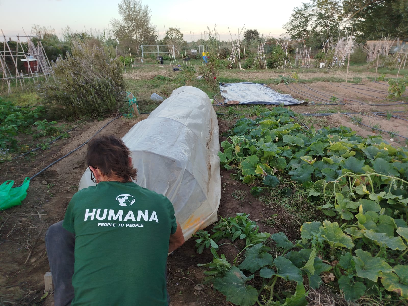 El projecte d’hort d’Humana a Tordera