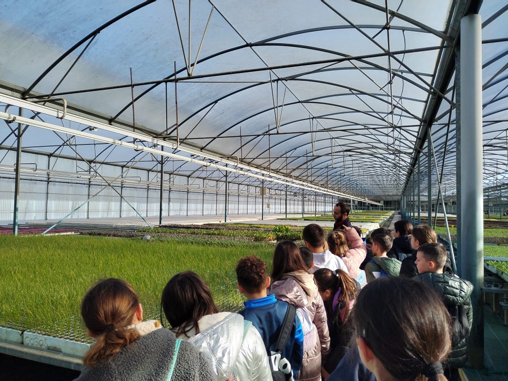 Imatges de la visita