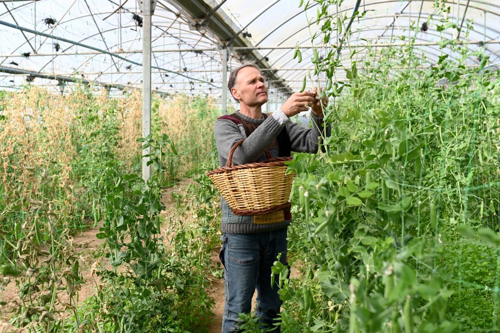 Horta Ecològica Pla de Munt