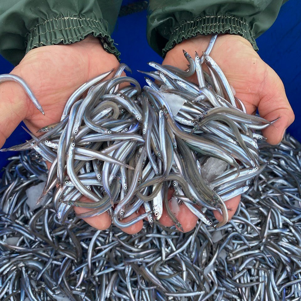 Confraria de Pescadors de Blanes