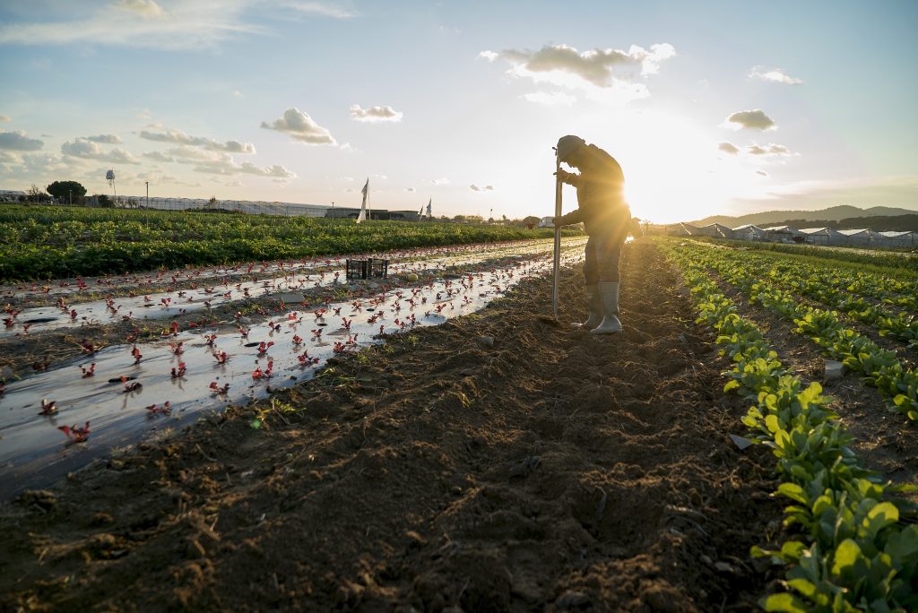 Espai Agrari de la Baixa Tordera
