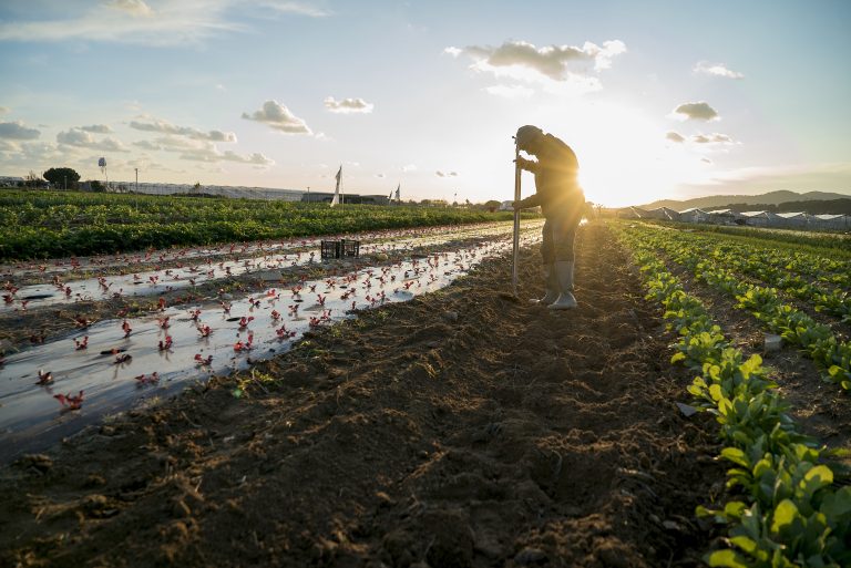 Espai Agrari de la Baixa Tordera