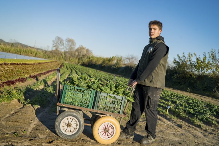 Pau Àngel, jove agricultor