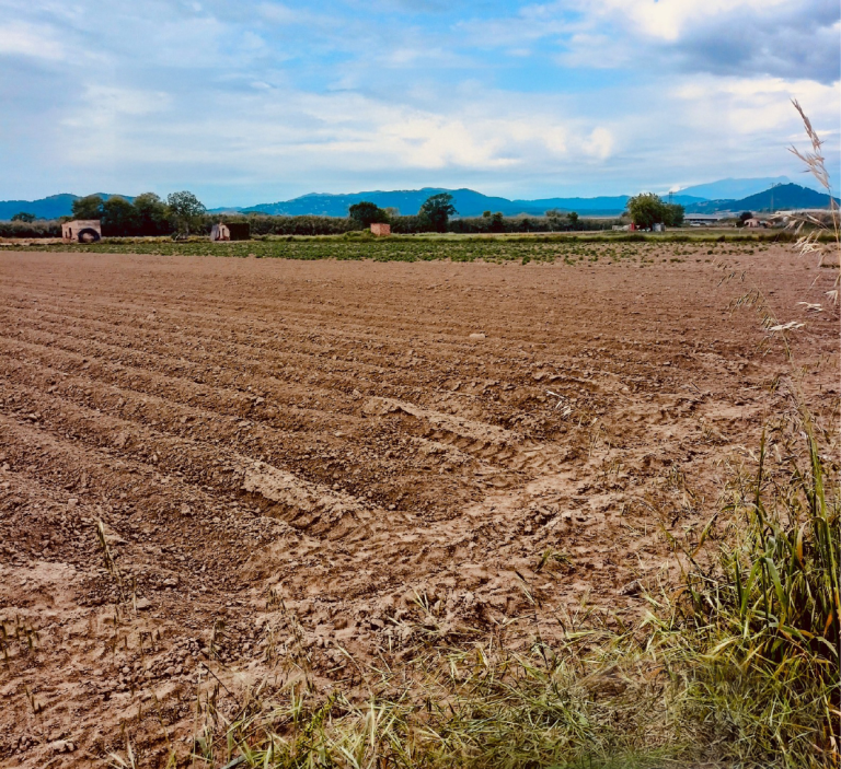 Espai Agrari de la Baixa Tordera