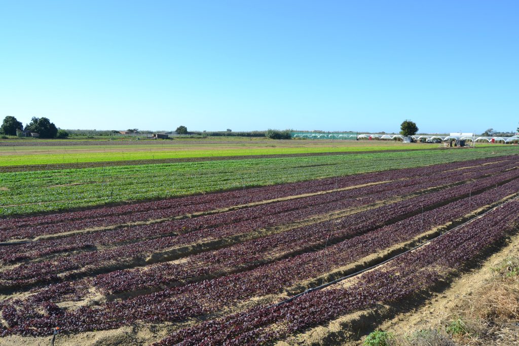 Espai Agrari de la Baixa Tordera