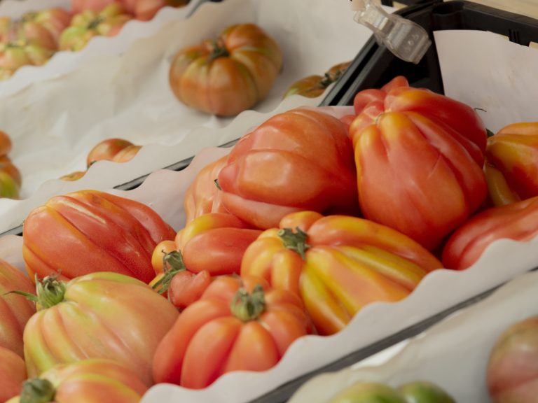 Tomàquet cor de bou