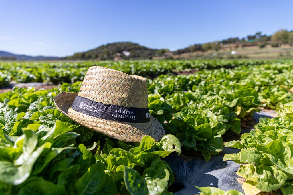 Campanya "Aprofitem els Aliments"