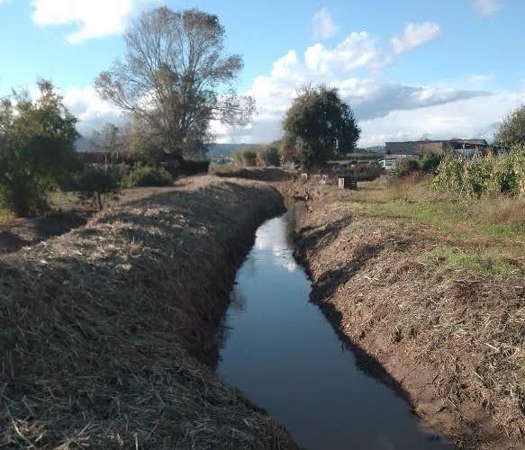 Rec Viver Pla de Grau