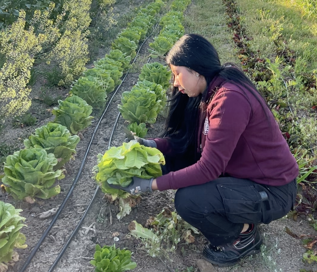 CFGM de Producció Agroecològica