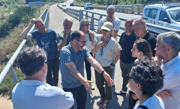 Visita sobre el terreny